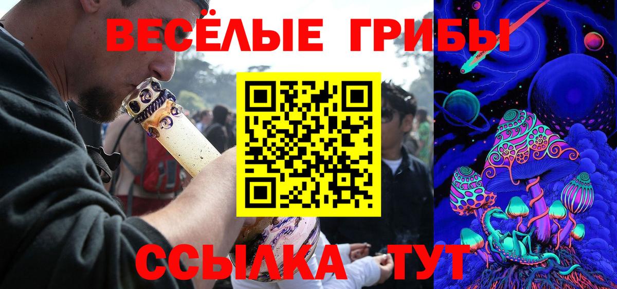 Галлюциногенные грибы мицелий  Галлюциногенные грибы Psilocybine cubensis  Вход с VPN  Каменск-Шахтинский 